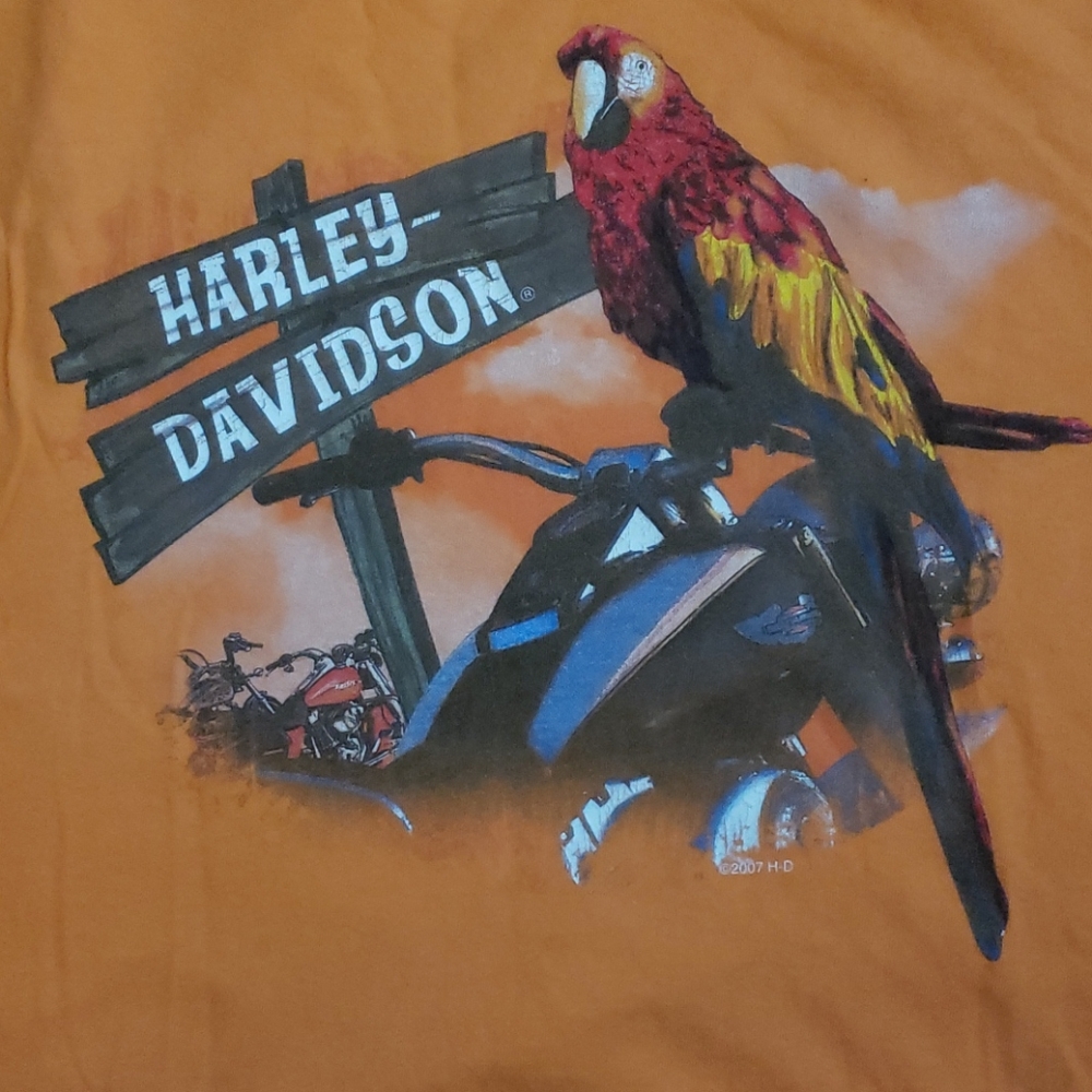 Graphic tee - Picture 4 of 4